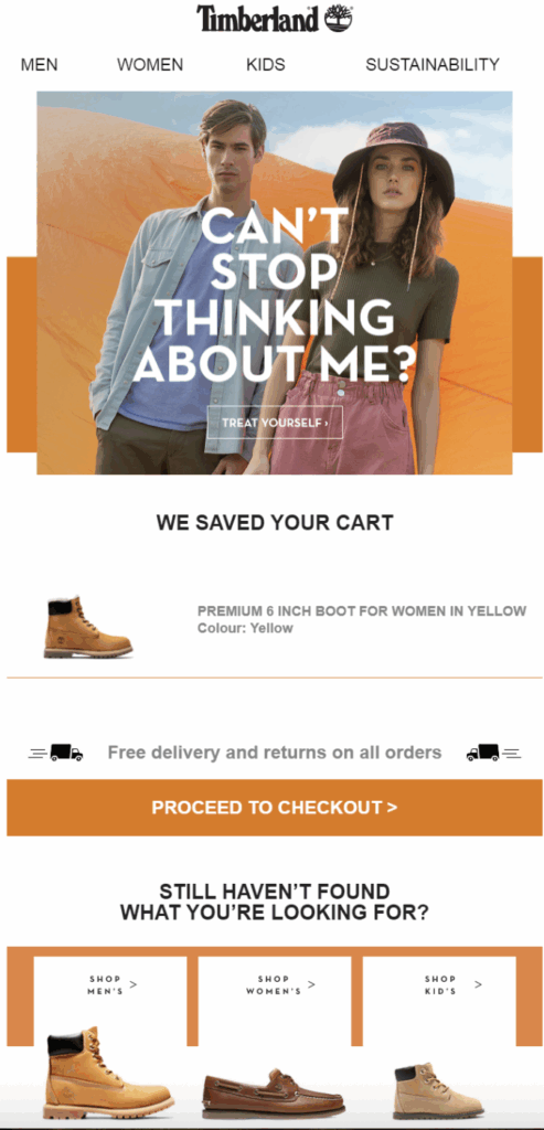 abandoned cart email example